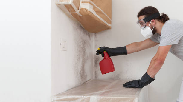 Professional Attic Mold Remediation technician working in Bradley Beach, NJ
