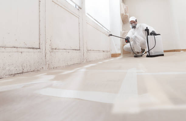 24/7 Emergency Attic Mold Remediation experts in Bradley Beach, NJ