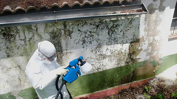 Top rated local Attic Mold Remediation specialists in Bradley Beach, NJ